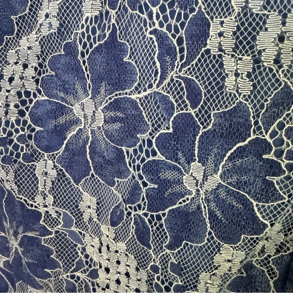 BB Dakota Size 2 V-Neck Blue Lace Dress - Picture 3 of 11